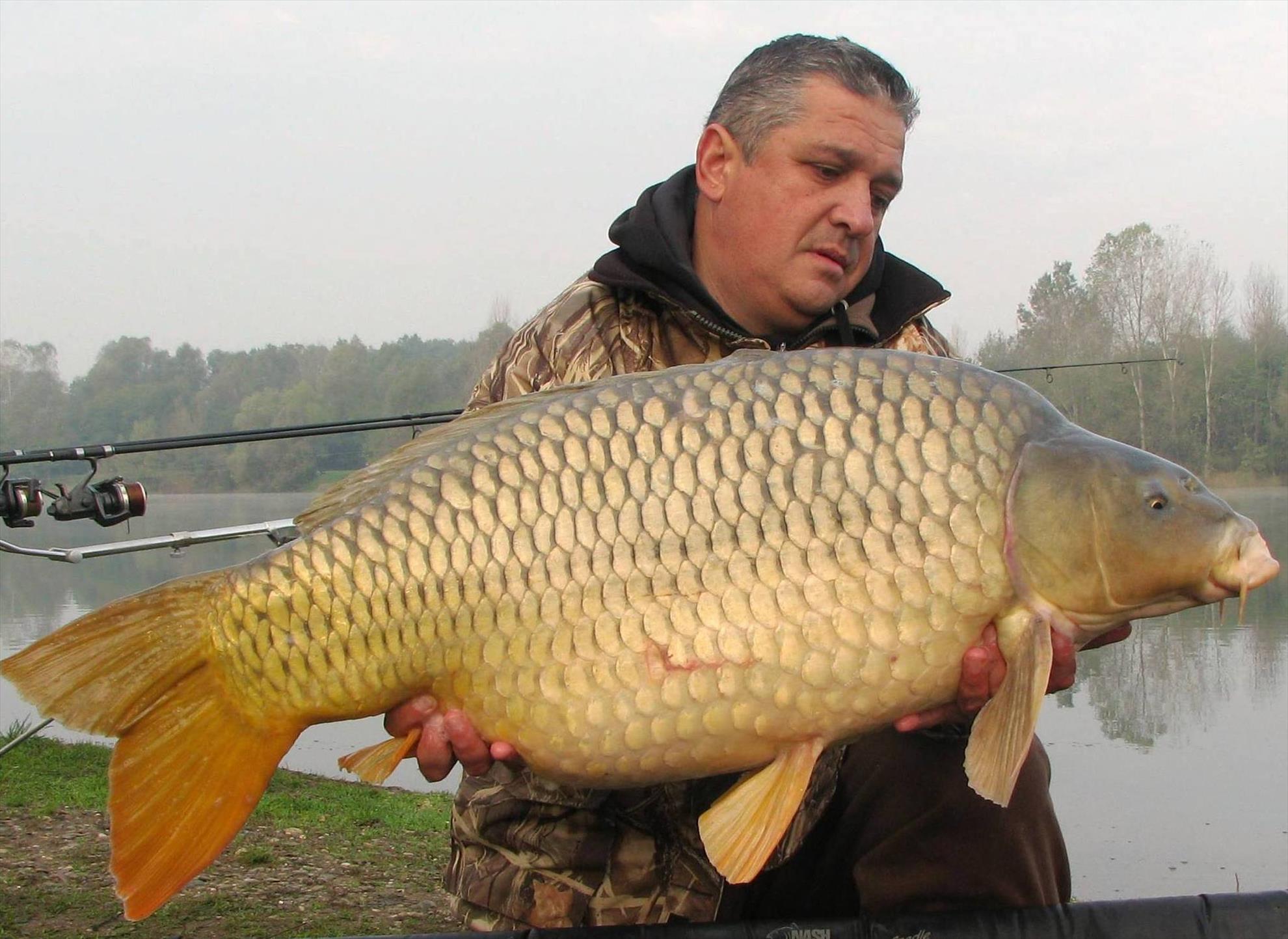 Balkan lake 25 - 31 octombrie 2014 - img1905.JPG